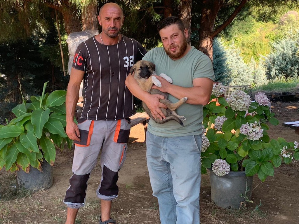 BİR YUVADA ABDULLAH KOÇ’TAN BİR YUVADA ABDULLAH KOÇ’TAN