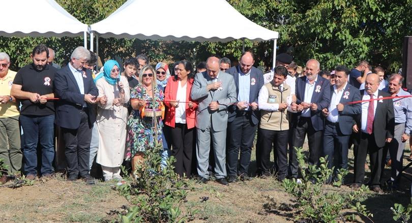 3. YALOVA ARONYASI HASAT GÜNÜ İLYASKÖY’DE YAPILDI