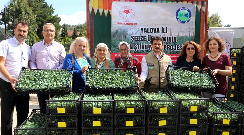 ÇİFTÇİLERE KIŞLIK PAZI VE KARA LAHANA FİDESİ DAĞITILDI