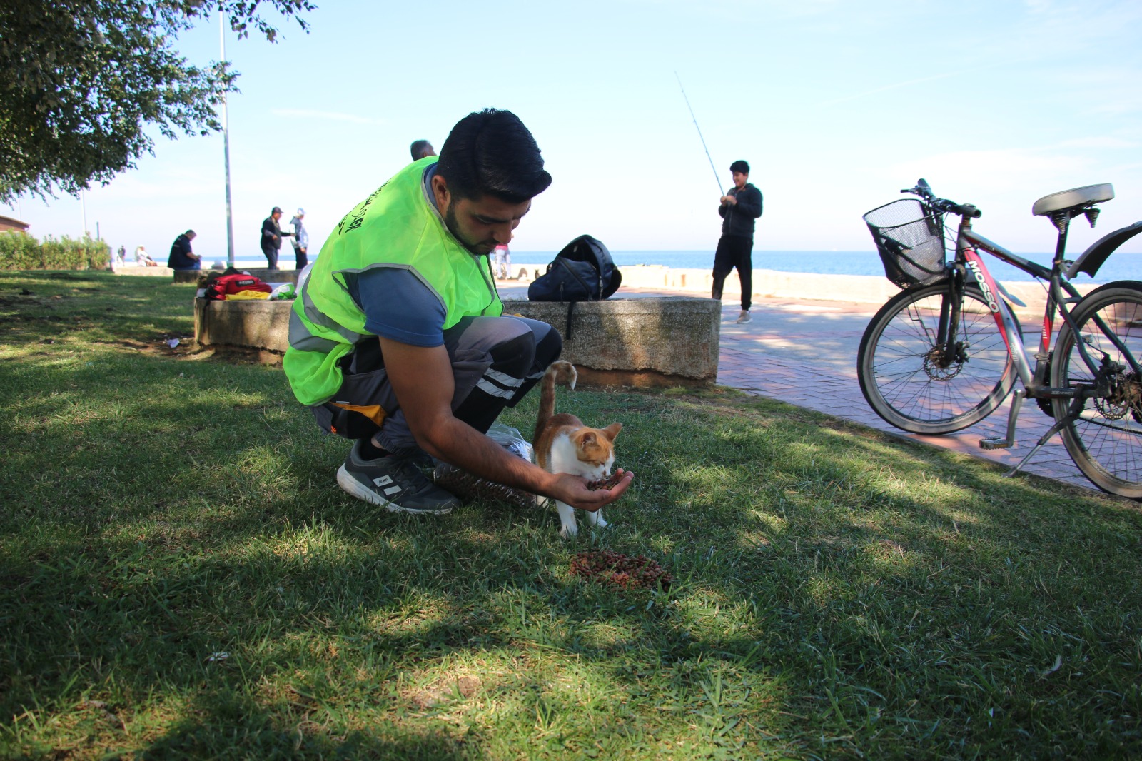 1 YILDA 41 BİN KG MAMA DAĞITILDI 1 YILDA 41 BİN KG MAMA DAĞITILDI