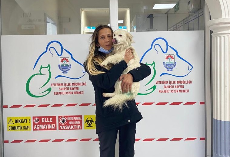 KEDİ VE KÖPEKLERİ SATIN ALMAYIN SAHİPLENİN KEDİ VE KÖPEKLERİ SATIN ALMAYIN SAHİPLENİN