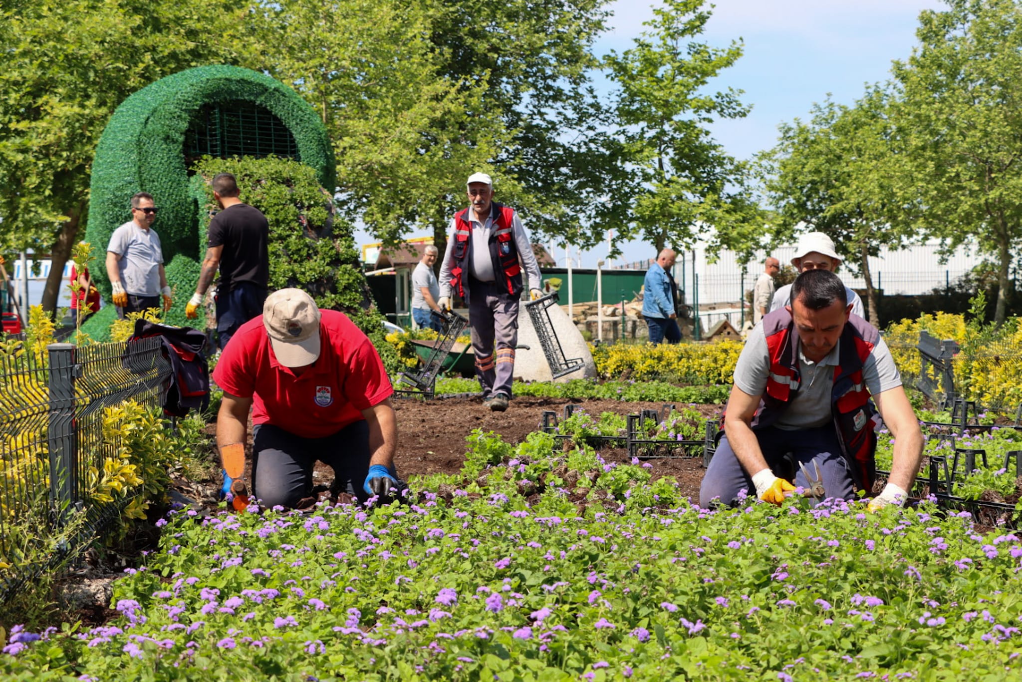 YALOVA’NIN ÇEHRESİ ÇİÇEK AÇIYOR YALOVA’NIN ÇEHRESİ ÇİÇEK AÇIYOR