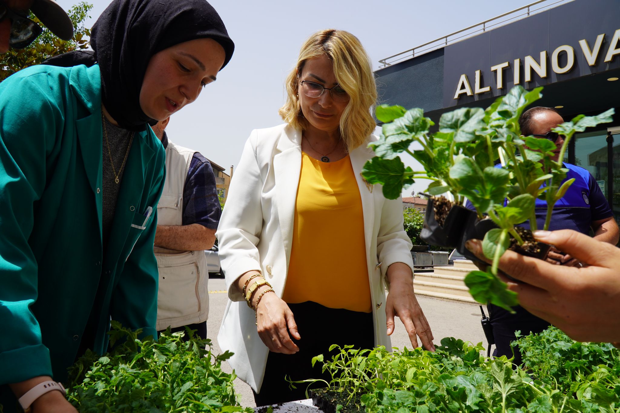 ALTINOVA’DA ATA TOHUMLARI TOPRAKLA BULUŞUYOR