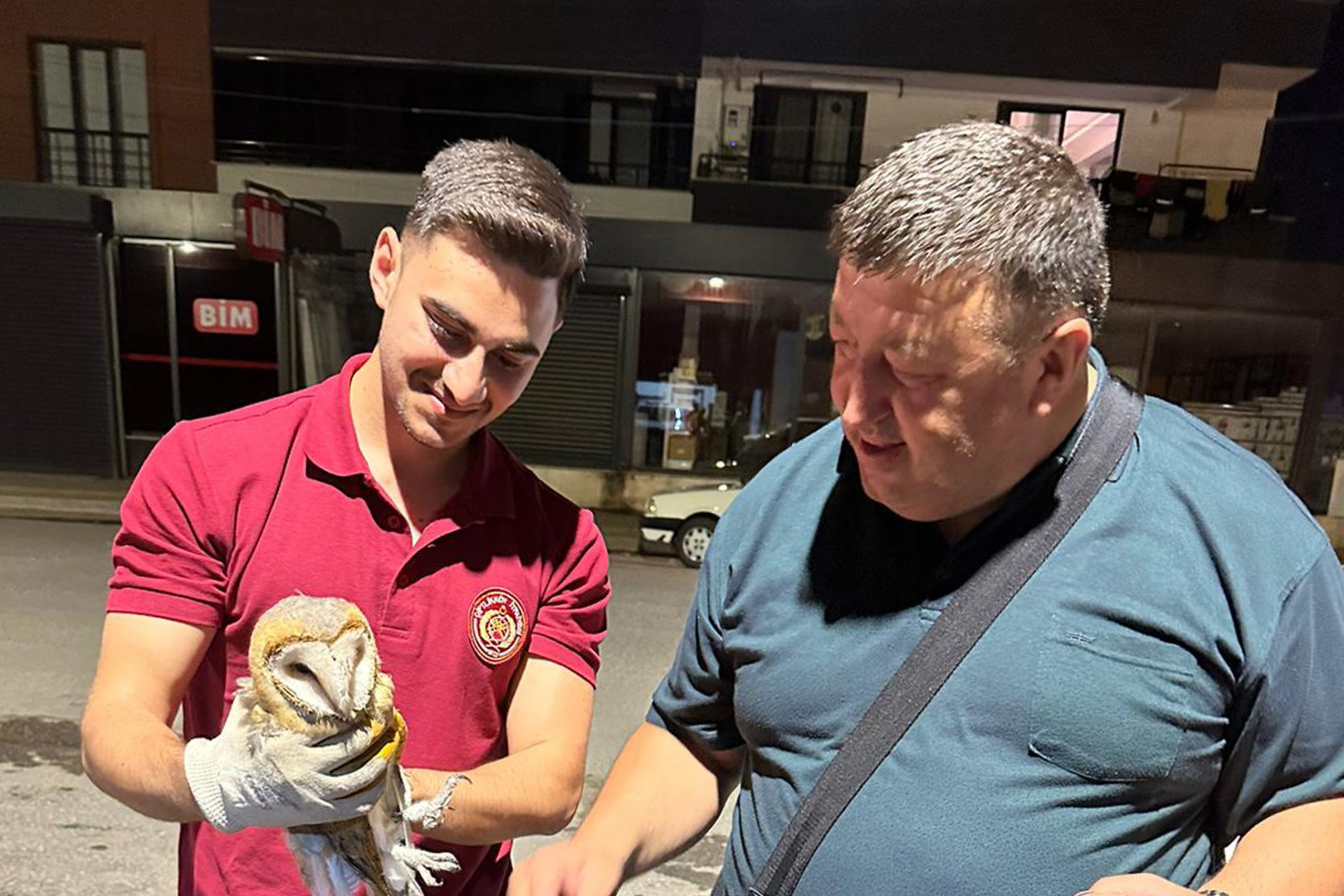 ÇİFTLİKKÖY İTFAİYESİ PEÇELİ BAYKUŞU KURTARDI ÇİFTLİKKÖY İTFAİYESİ PEÇELİ BAYKUŞU KURTARDI