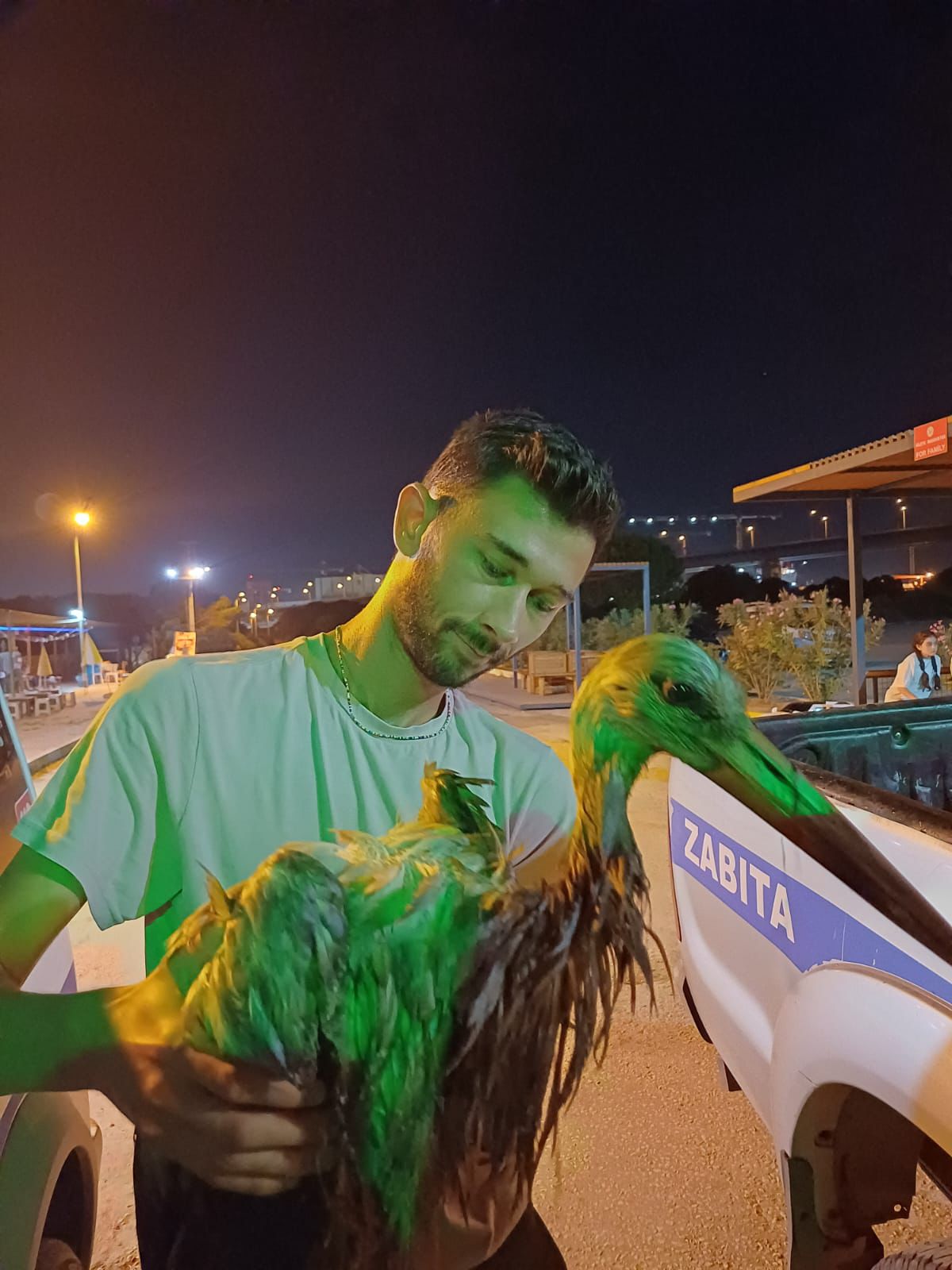 GÖÇ EDEN LEYLEK YORULUNCA HERSEK SAHİLİNE DÜŞTÜ! GÖÇ EDEN LEYLEK YORULUNCA HERSEK SAHİLİNE DÜŞTÜ!