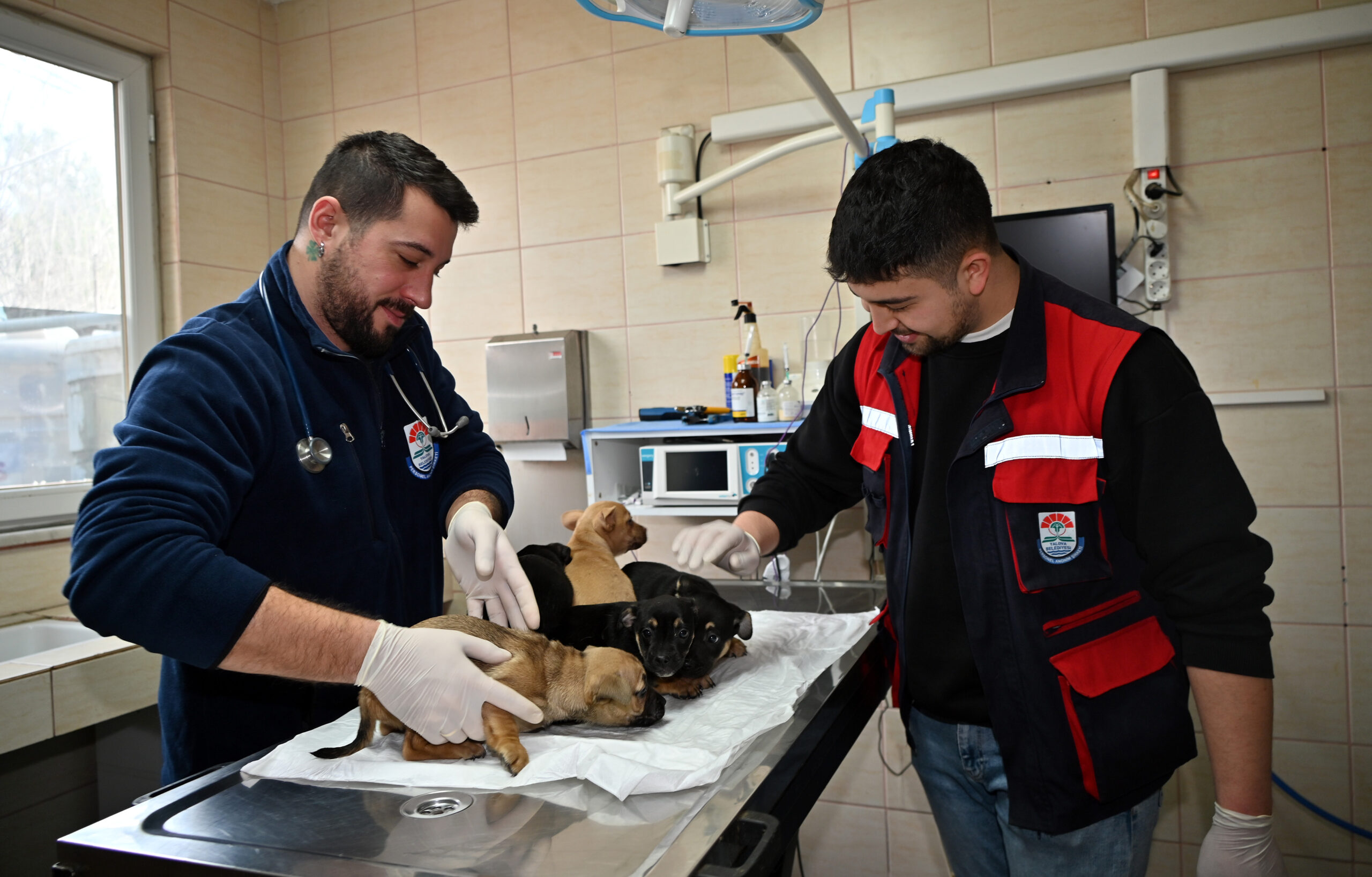 YALOVA BELEDİYESİ’NDEN SAHİPSİZ YAVRULARA ŞEFKAT ELİ